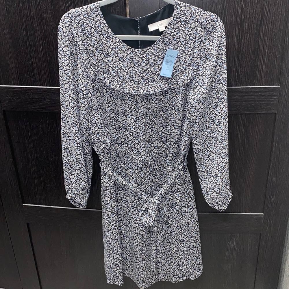Loft Long sleeve dress